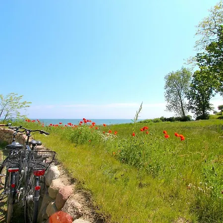 Apartment Strandnahe Rex Rugia: Balkon & Wellness-zugang