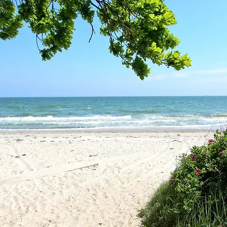 Apartment Strandnahe Rex Rugia: Balkon & Wellness-zugang *